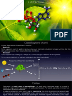 Metabolismo