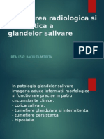  Patologia Glandelor Salivare