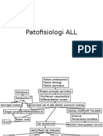 Patofisiologi ALL