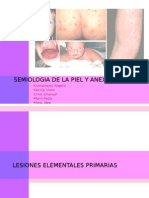 Piel Seminario 