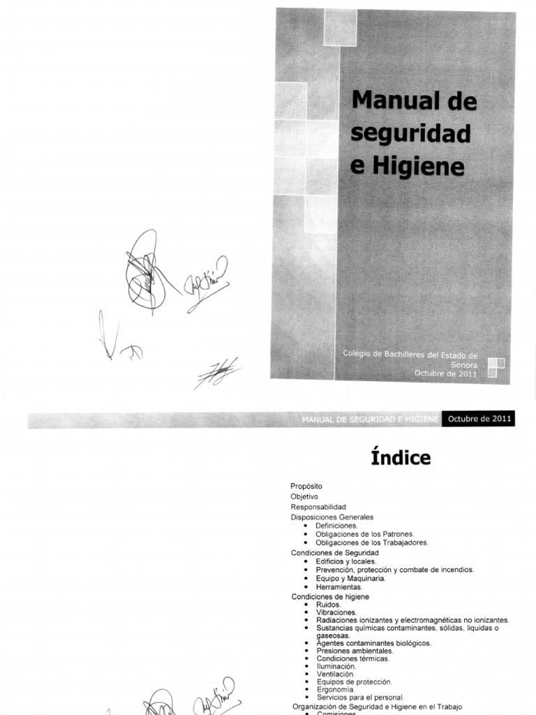 Normas de Seguridad e Higiene Laboral | PDF | Contaminación | Derecho ...