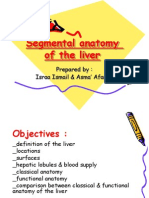 Liver segmentation