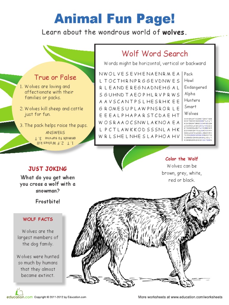 Animal Fun Wolves | PDF | Foreign Language Studies
