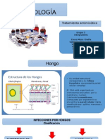 Antimicoticos 