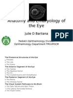 Anatomyandembryologyoftheeye20111 121207161433 Phpapp02
