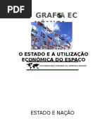 o estado e a utilização econômica