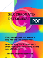 Sex Chromatin Determination