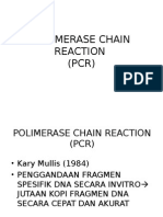 Polimerase Chain Reaction (PCR)