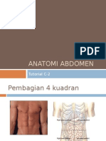 Anatomi Abdomen