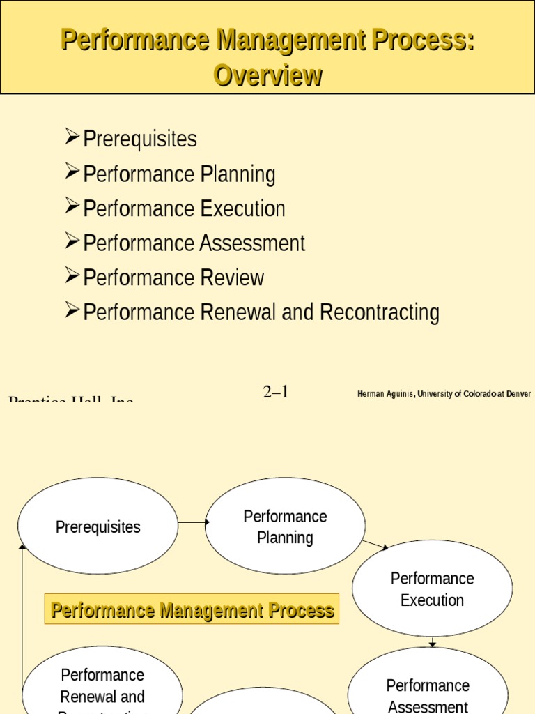Performance Management Process | PDF