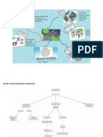 MAPAS CONCEPTUALES 