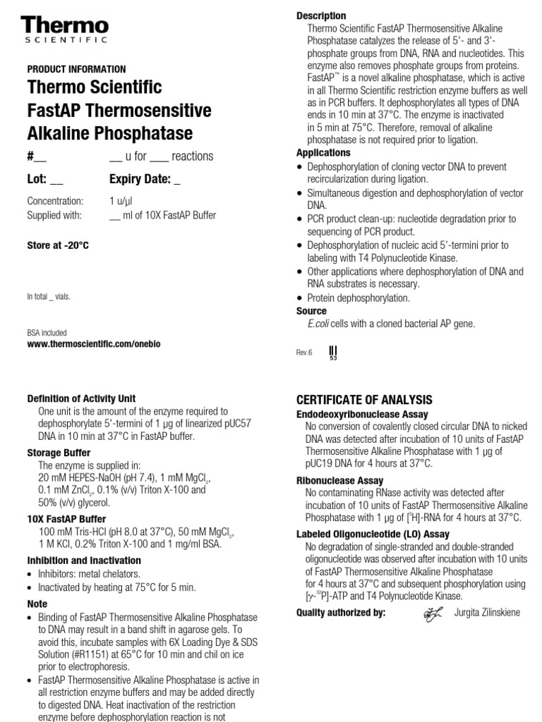 Manual FD FastAP | PDF | Directionality (Molecular Biology) | Agarose ...