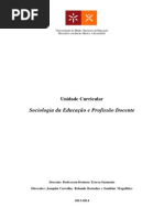 Ser Professor - Desafios Da Profissão