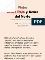 3-Piojos y Acaros - Gta 16 de Septiembre