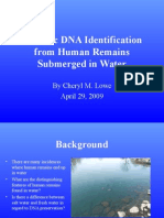 Forensic Dna Identification Submerged Warter