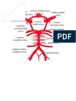 Circle of Willis