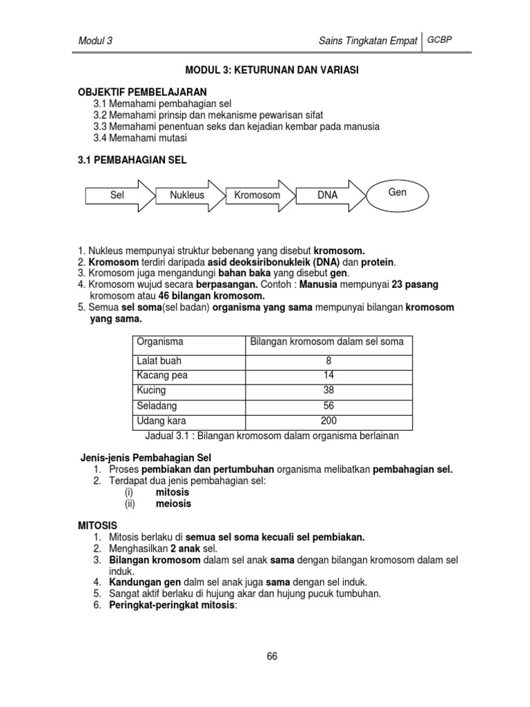 M 3 Keturunan Dan Variasi Pdf