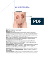 Terminologia de Enfermeria Sistemas