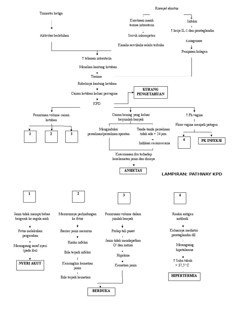 Pathway Antenatal Care | PDF