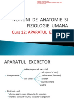 Aparatul Excretor PDF