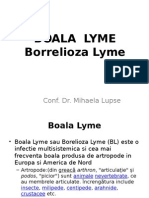 Boala Lyme