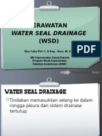 Perawatan WSD