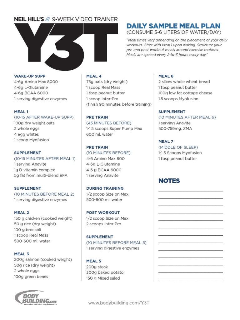 Y3T Training Program Meal Plan | PDF | Wellness