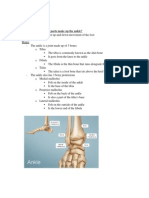 Part 1: What Different Parts Make Up The Ankle?