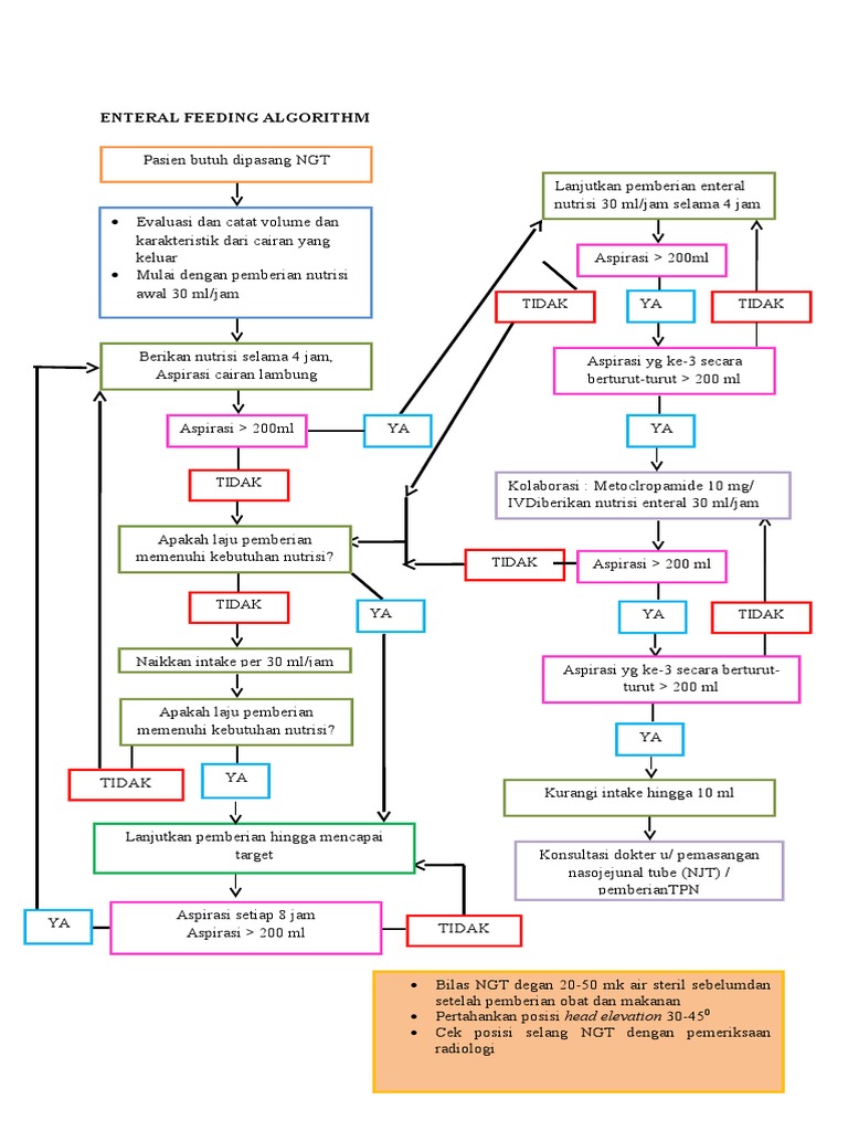 Algoritma Pemberian Nutrisi Enteral | PDF