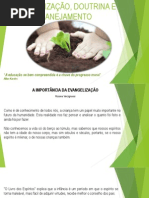 Evangelização, Doutrina e Planejamento