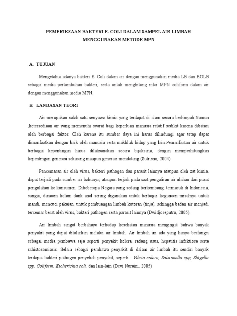 Laporan Air Limbah Fix Pdf