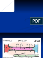 Cardiopatia Ischemica