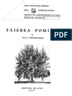 Taierea pomilor