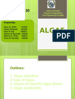 algea presentation06-12-2014.pptx