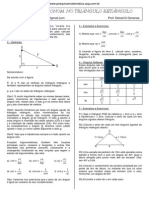 Exercícios - Trigonometria No Triângulo Retângulo PDF
