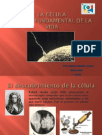 CELULA-3.ppt