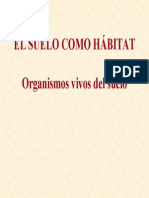 Organismos del suelo de gran importancia.pdf