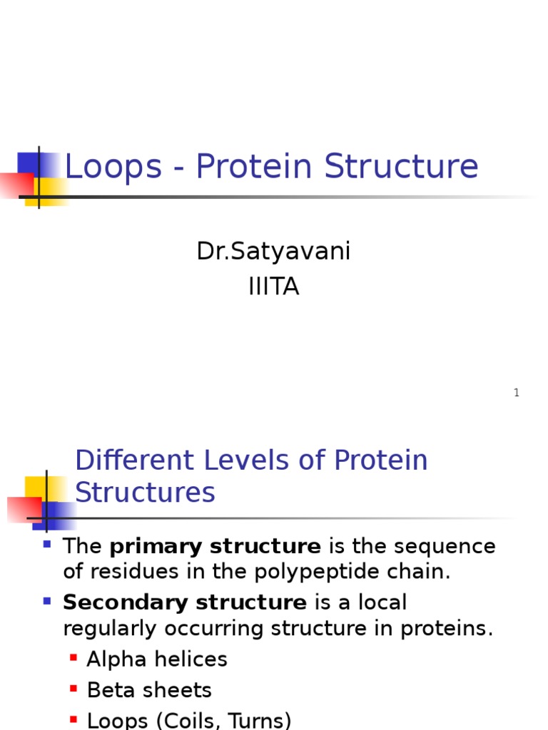 Loops Proteins | Beta Sheet | Alpha Helix