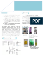 Reporte Fenolftaleina y Fluoresceina