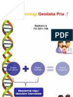 Idk 1 - Embriologi Genitalia Pria