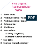 Sense Organs the Audiovestibular Organ