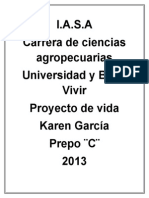 1 - Proyecto de Vida