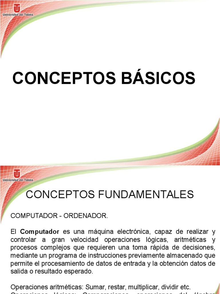 Conceptos Básicos | PDF | Hardware de la computadora | Bases de datos