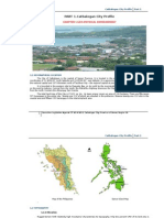 Catbalogan City Profile Guide