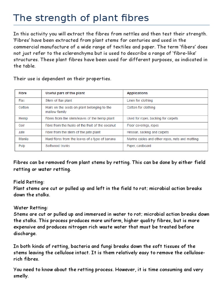Testing the Strength of Plant Fibers An Experiment Using Celery