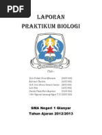 Laporan Praktikum Uji Urine