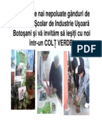 Coltul Verde PDF
