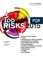Top Risks 2015