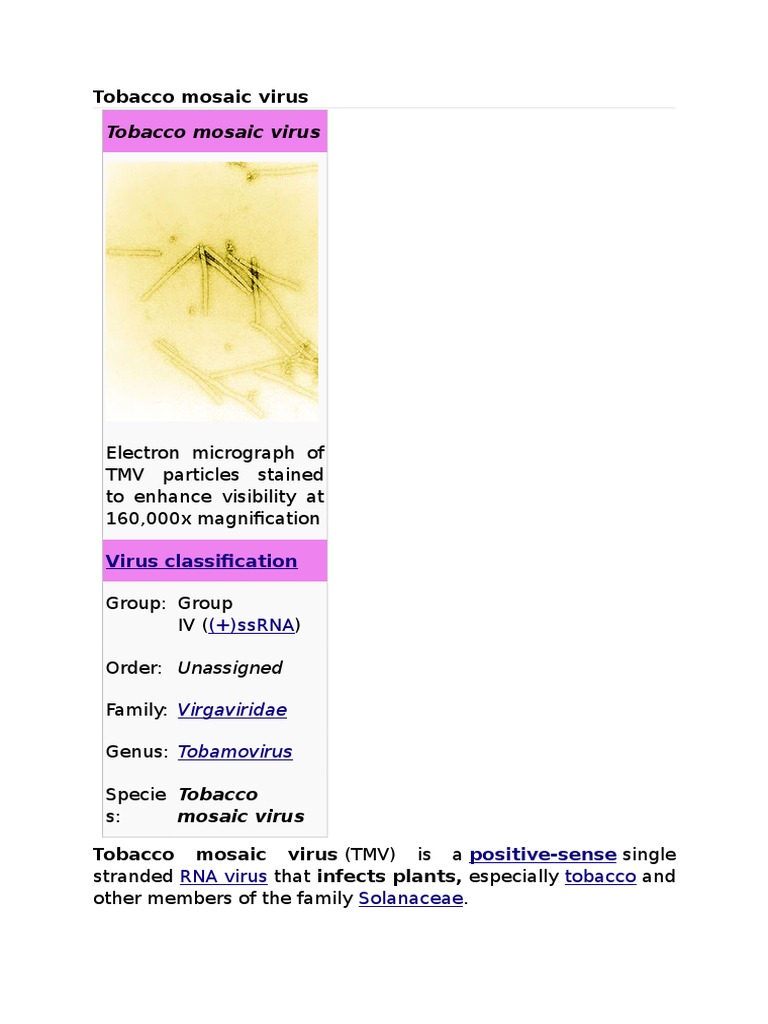 tobacco mosaic virus classification Tobacco Mosaic Virus Overview | PDF | Microbiology