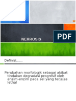 Nekrosis 4